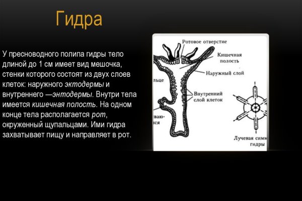 Почему в кракене пользователь не найден